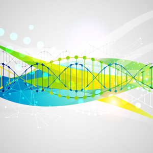 科学与 Dna 分子模板