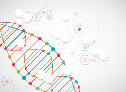 科学与 Dna 分子模板