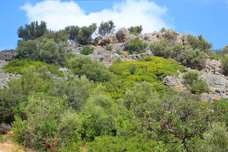 在克里特岛的夏日风景