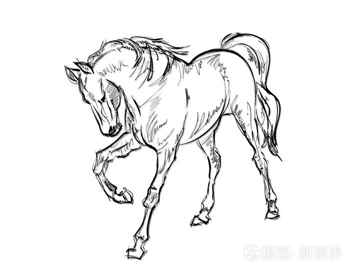 万马奔腾.手绘插画