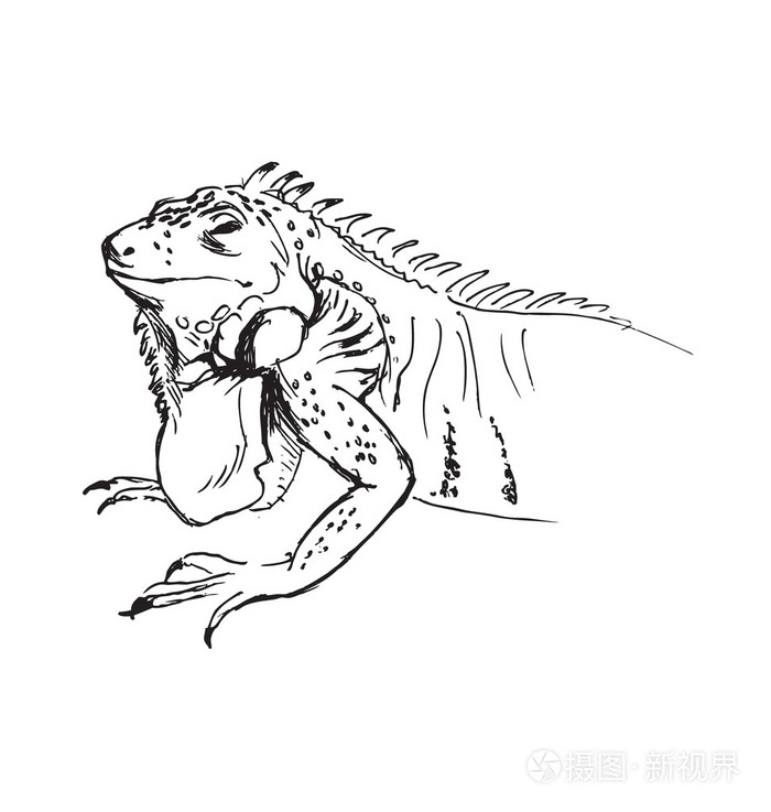 手绘的鬣蜥