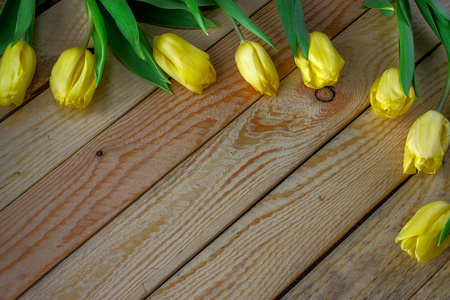木制的桌子上鲜黄色郁金香