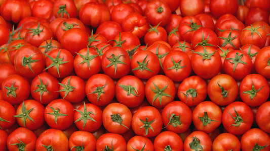 西红柿一大堆