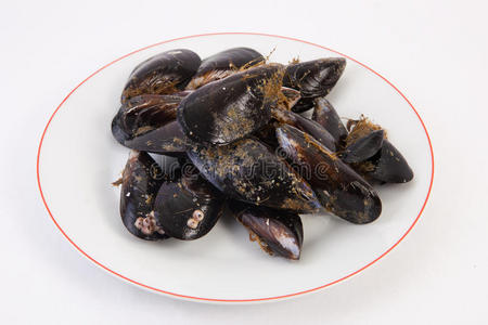 甲壳类动物 美味的 海洋 贻贝 食物 软体动物 美食学 贝类