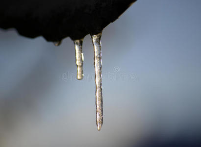 照片 一月 寒冷的 熔化 冬天 季节 气候 天气 冰柱 波基