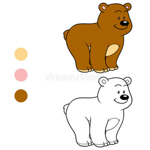 儿童着色书泰迪熊