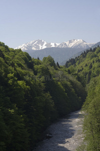 徒步旅行 漫无目的 森林 外阴 高的 旅行 山谷 旅游业