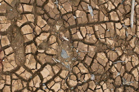 破裂 损害 贫瘠 干燥 空的 排水 地壳 灰尘 裂纹 衰退