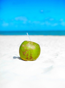 椰子在海边的白色沙滩上