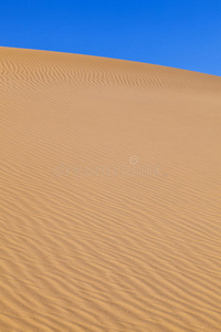 撒哈拉 非洲 自由 热的 风景 极端 美丽的 场景 自然