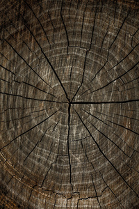 黑暗划伤与 cracks.vertical 木材纹理的木材纹理