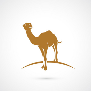 非洲骆驼的符号