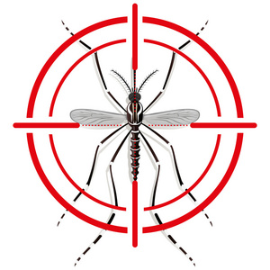 自然，蚊蚊子高跷与视觉信号或目标 顶视图。理想的信息和体制相关的卫生和护理