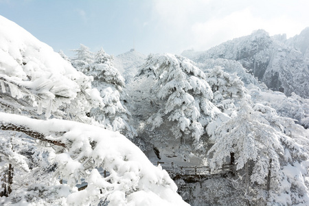 黄山的雪景