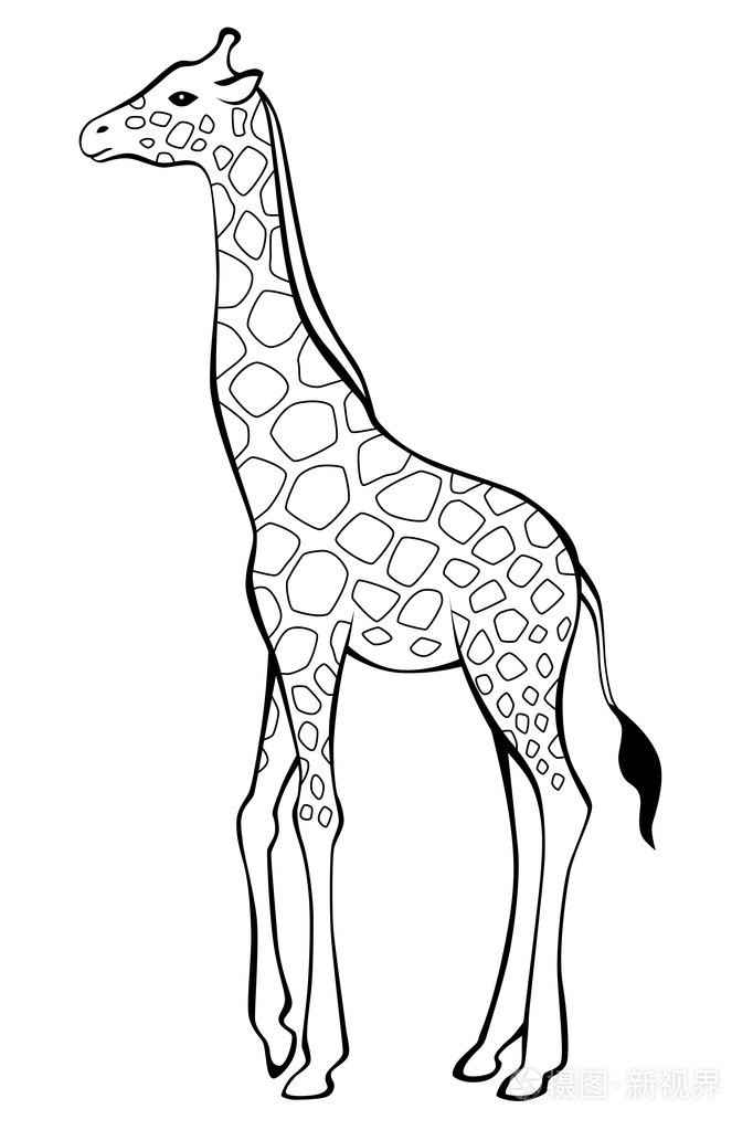 长颈鹿黑白孤立插图矢量