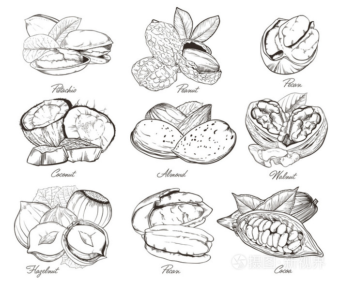 组的混合坚果插画-正版商用图片1me