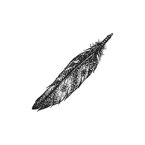 手绘印度羽毛复古它制作图案