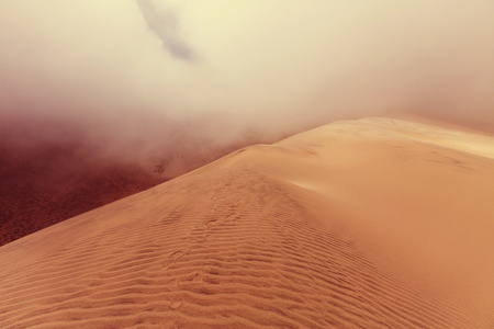在撒哈拉沙漠砂