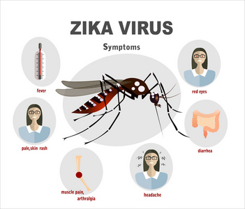 Zika 病毒症状