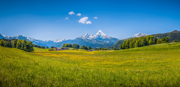 在阿尔卑斯山的田园夏日风景