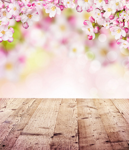 樱花与空木板