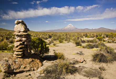 萨哈火山在玻利维亚