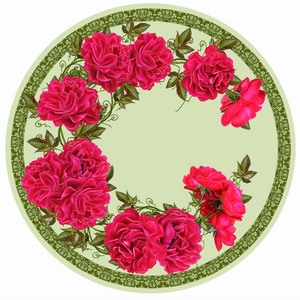 在一个圆圈中的花。圆的形式。圆的花卉背景。一个分支的红蔷薇