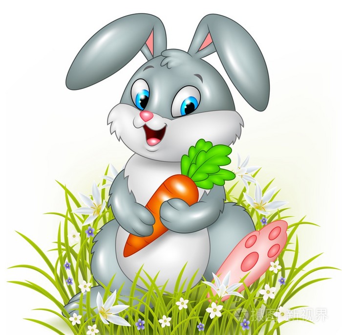 可爱的小兔子控股胡萝卜