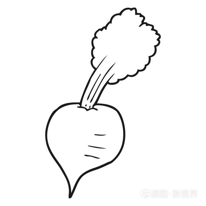 黑色和白色卡通甜菜根插画-正版商用图片1mh9bs-摄图