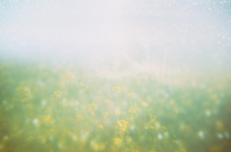 抽象的梦幻照片的春天草地上的野花。老式的滤波的图像。选择性的焦点
