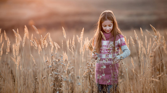漂亮的小女孩在秋日的田野