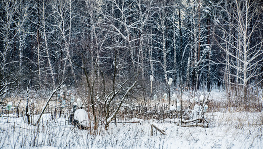 白雪皑皑的冬季风景