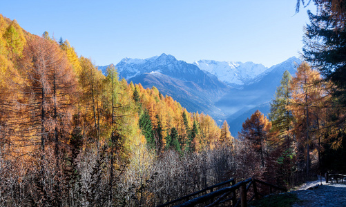 五彩的叶子与山脉的秋天全景