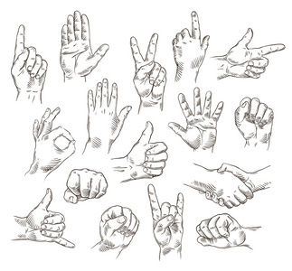 向量组的手和手势大纲图