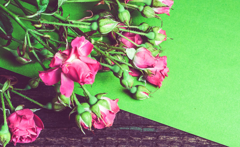 绿色纸上的粉红色玫瑰花束