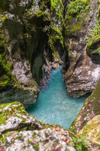 Tolmin 峡谷，性质斯洛文尼亚