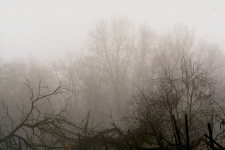 匈牙利冬季薄雾