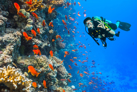 水肺潜水员探索珊瑚礁显示 ok 的手势
