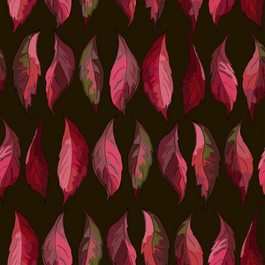 无缝模式与五颜六色的树叶。矢量