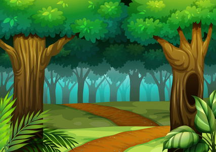 森林场景与在树林中的线索