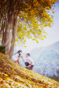 亚洲快乐年轻夫妇坐在黄色的树上