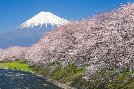 山富士山顶