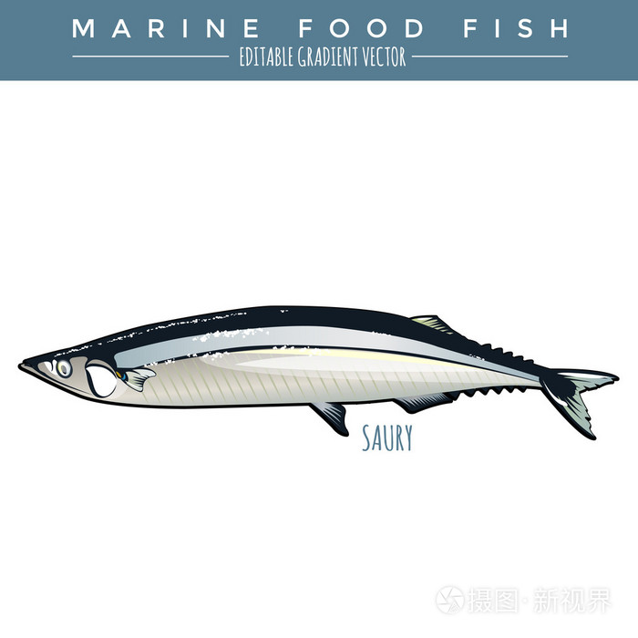 海洋食用鱼插画-正版商用图片1mqn04-摄图新视界