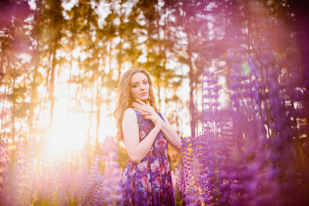 女孩在领域的紫色的野花，日落在阳光灿烂的日子