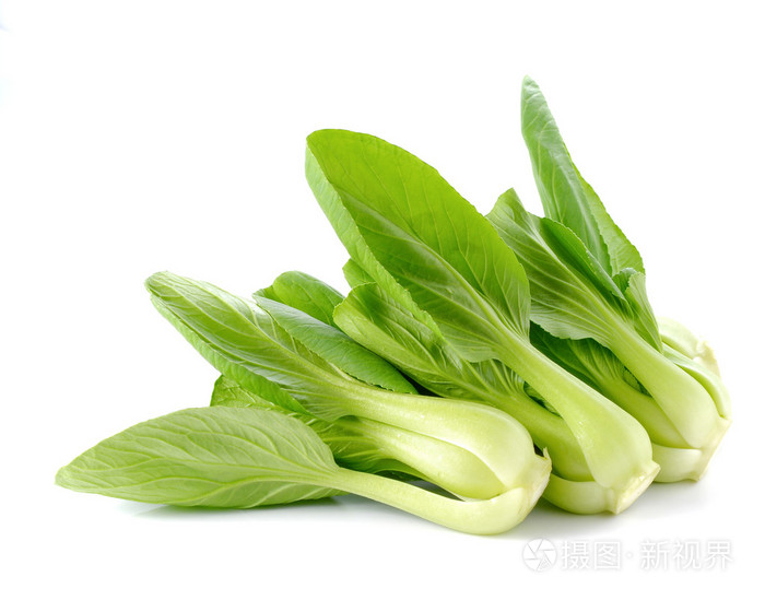 在白色背景上的小白菜