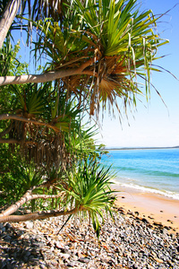 阳光海岸，澳大利亚