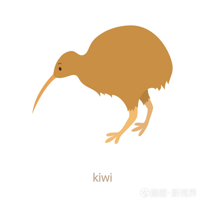 几维鸟.卡通人物