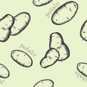无缝的涂鸦图案。马铃薯。矢量图