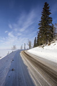 雪盖的路