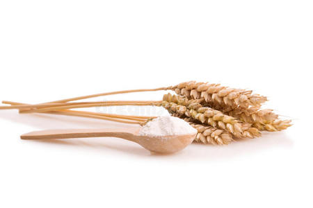 勺子里有小麦和面粉的耳朵